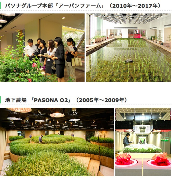 1689217622753169.png 副本PASONA集團(tuán)262.png